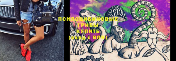 прущие грибы Алексин