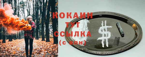 прущие грибы Алексин