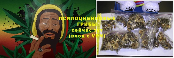 прущие грибы Алексин