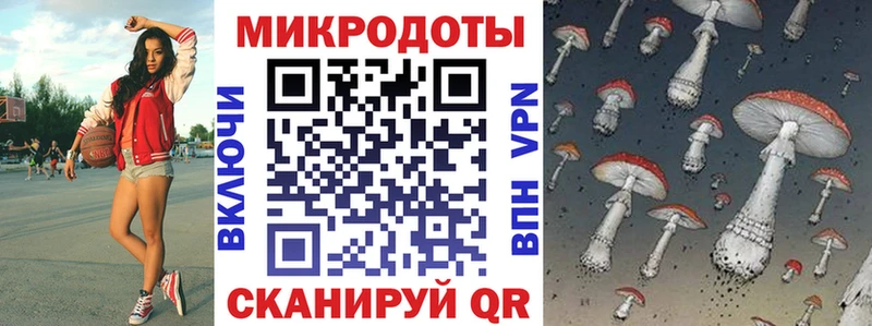 Псилоцибиновые грибы Psilocybe Кольчугино