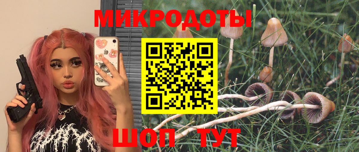 Кольчугино  Псилоцибиновые грибы прущие грибы  Вход с VPN  Галлюциногенные грибы MAGIC MUSHROOMS 
