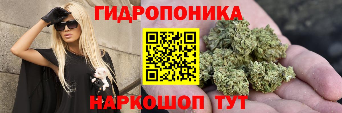 Канабис индика Кольчугино